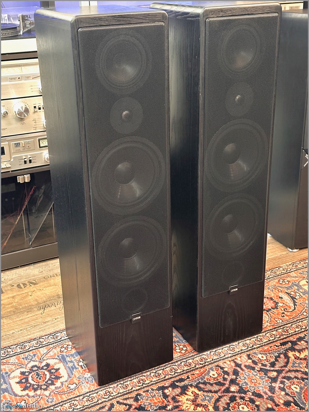 Canton Ergo 91 DC f2.jpg