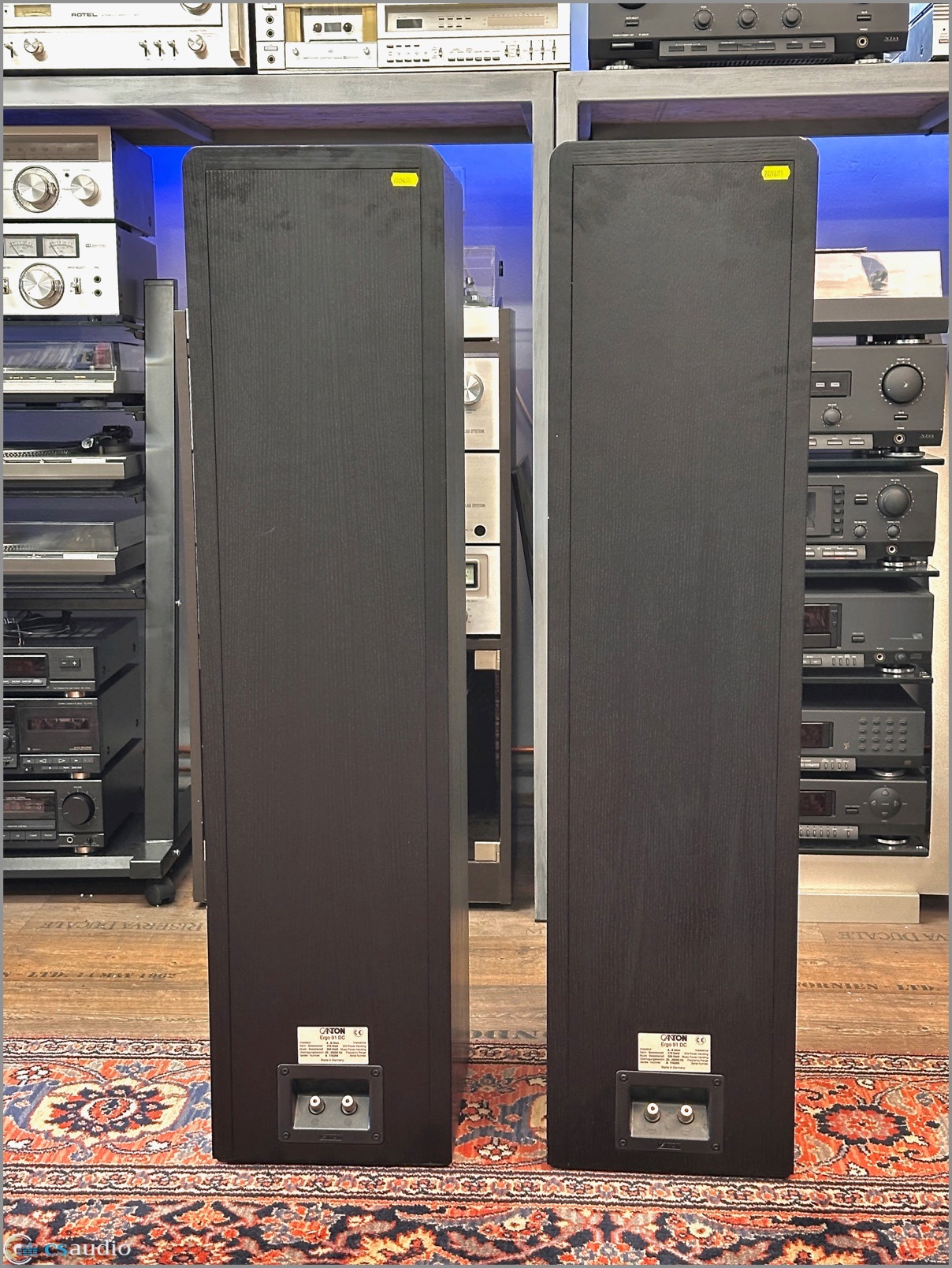 Canton Ergo 91 DC b.jpg