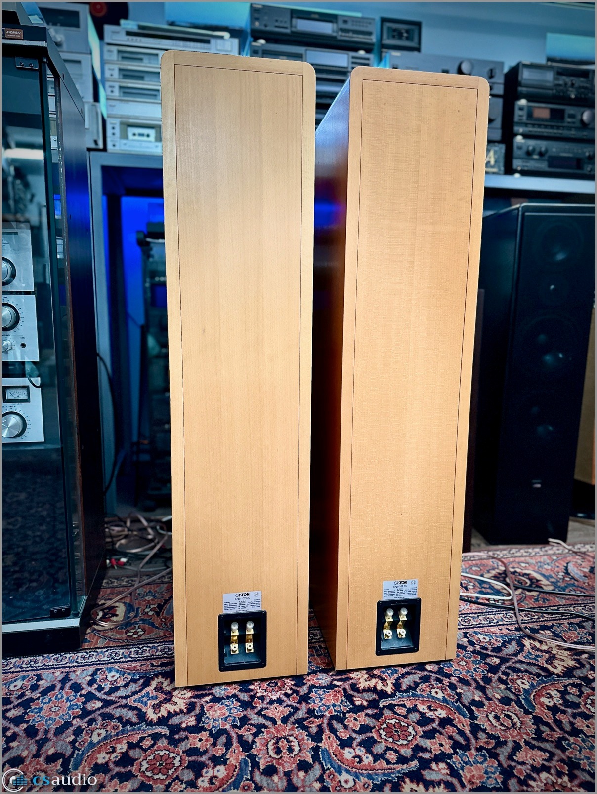 Canton Ergo 102 DC b.jpg