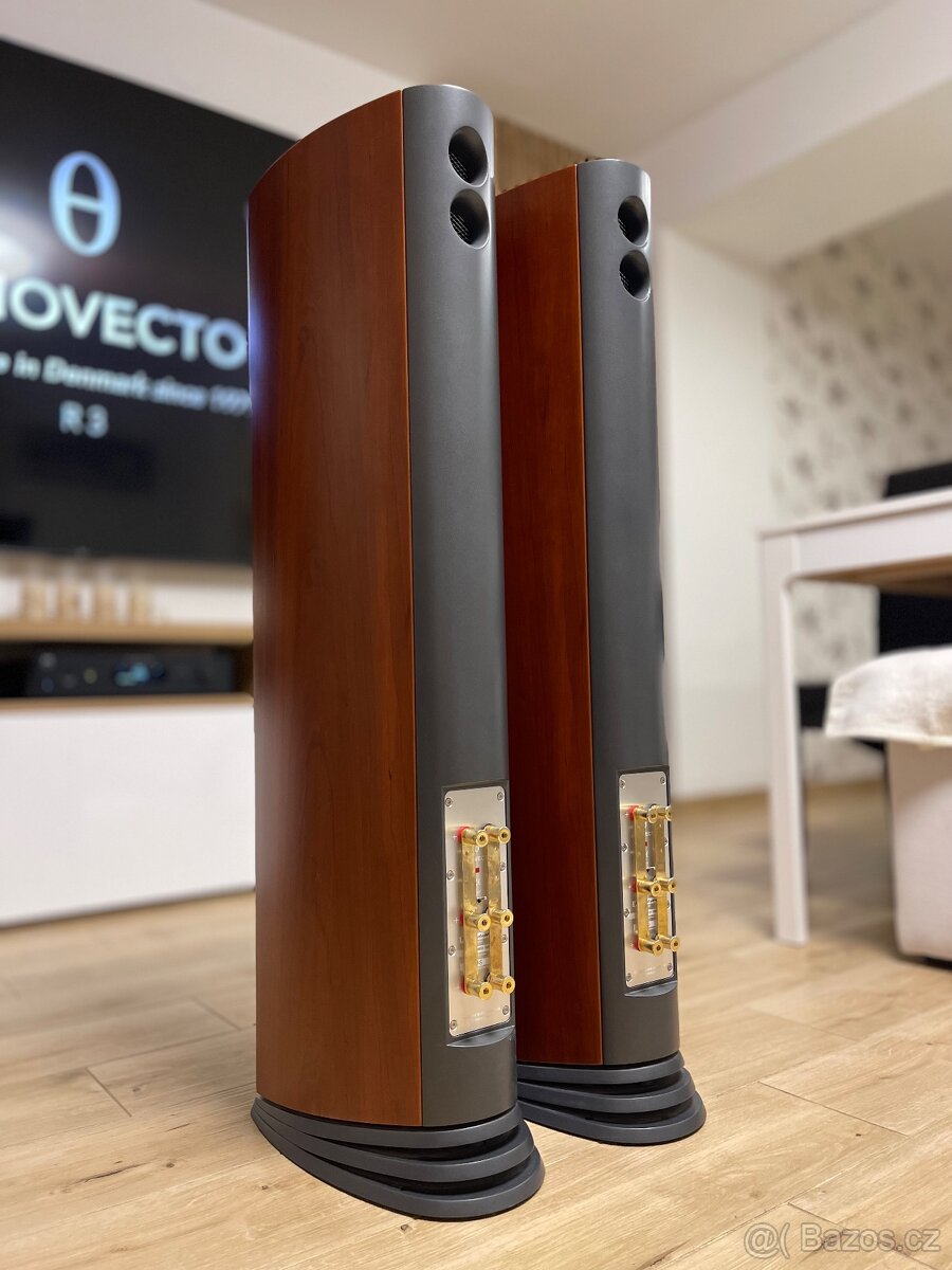 Audiovector SR 3 Avantgarde b.jpg