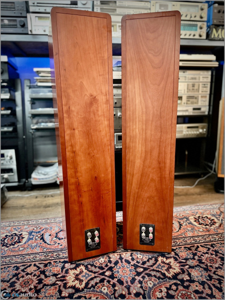 File:Canton Ergo 690 DC b.jpg