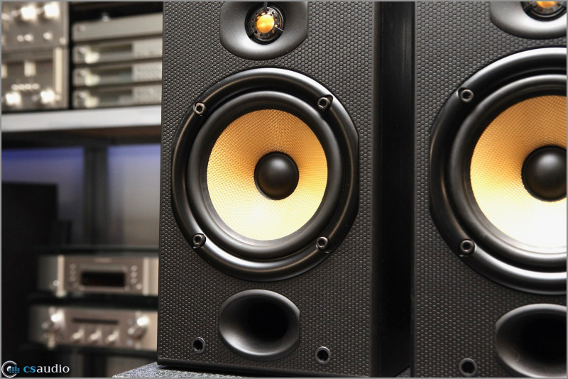 File:B&w dm601 d2.jpg