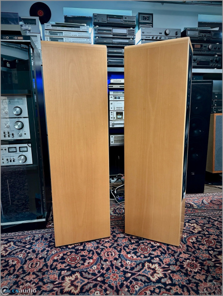 File:Canton Ergo 102 DC s.jpg