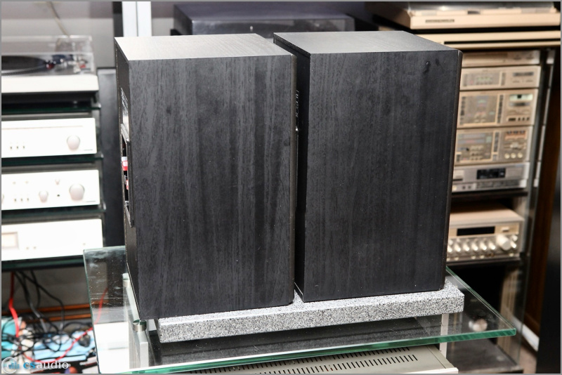 File:B&w dm601 s.jpg