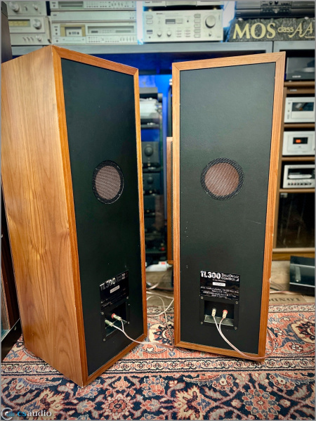 File:Arcus TL 300 b.jpg