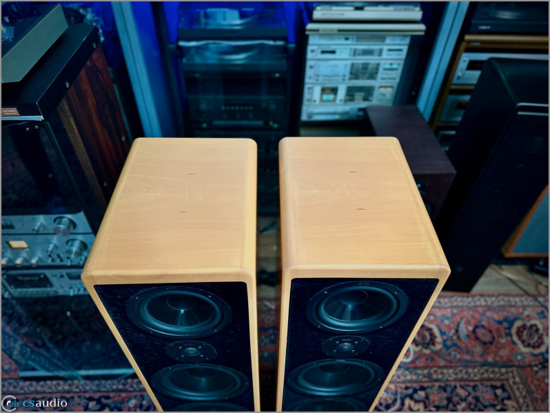 File:Canton Ergo 102 DC u.jpg