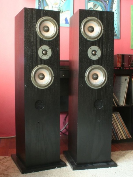 File:ProAc Response 3.JPG