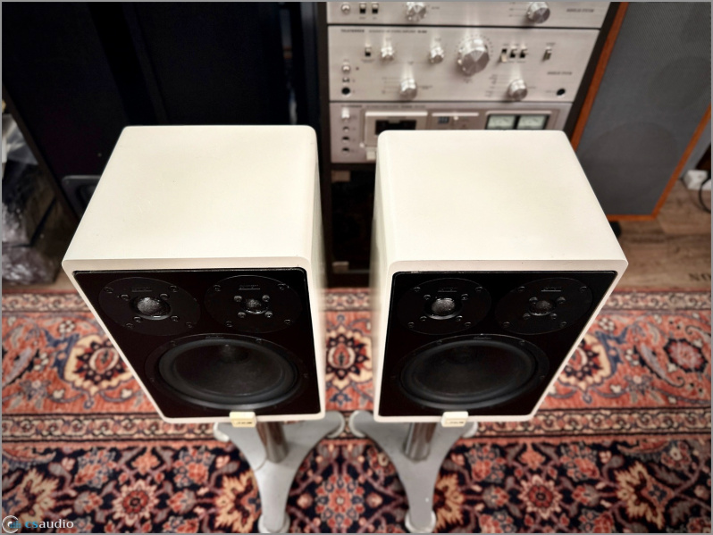 File:Canton Karat 100 u.jpg