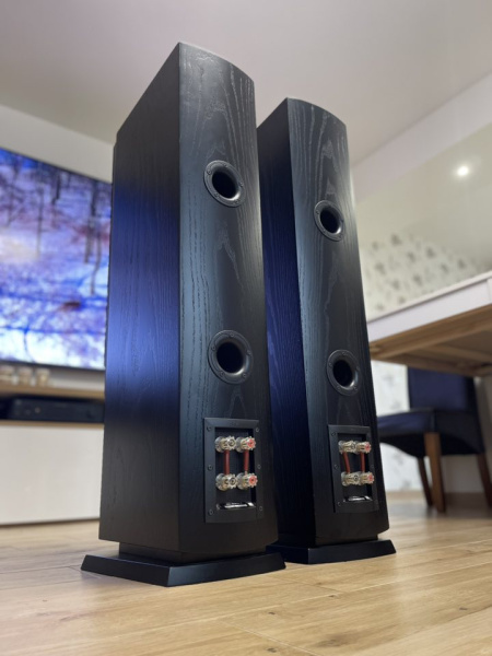 File:Dali Mentor 6 b.jpg