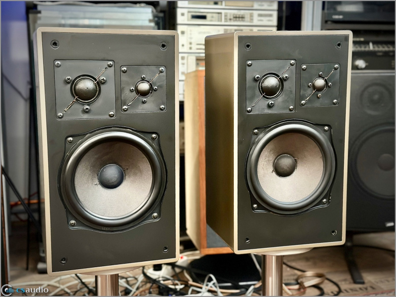 File:TSM Puris 82 f.jpg